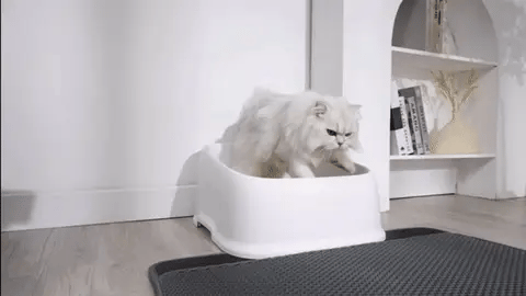 Cat Litter Mat