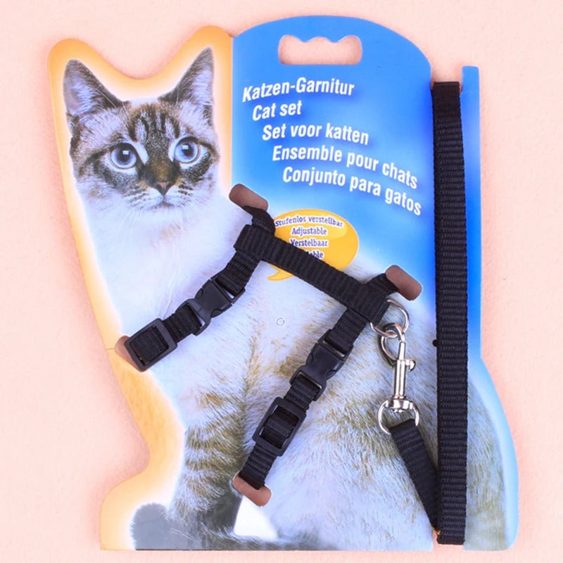 Cat Harness