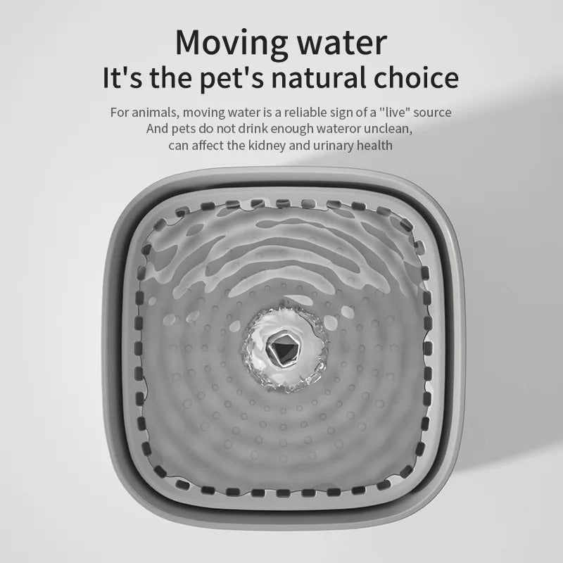 3L Cat Water Fountain, Quiet & Filtered