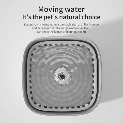 3L Cat Water Fountain, Quiet & Filtered