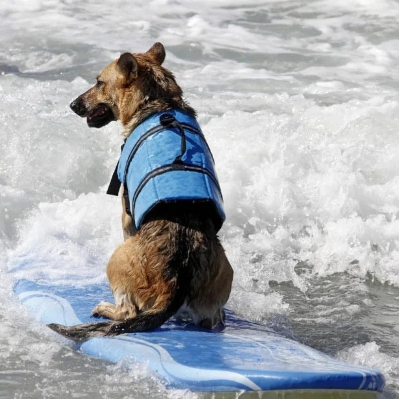 Reflective Adjustable Dog Life Jacket